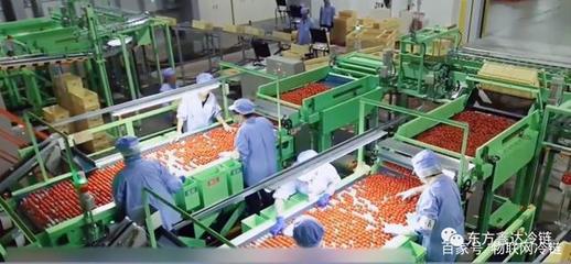 东方鑫达冷链补短板 重资布局农产品产地一公里