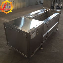 胡萝卜毛辊去皮机厂家销售 江苏胡萝卜毛辊去皮机 佳旭食品机械