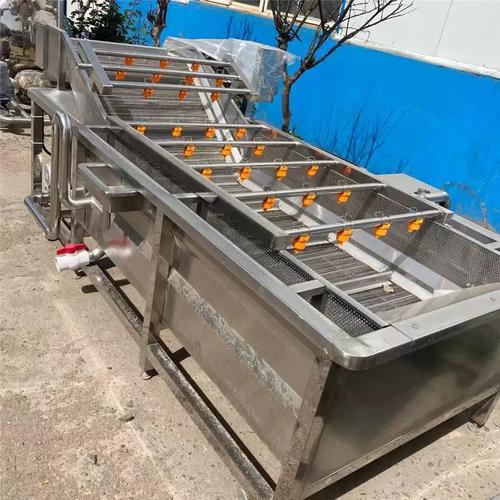 大枣蔬菜清洗机全自动茼蒿菠菜椰枣去泥沙气泡清洗机蔬菜加工机器