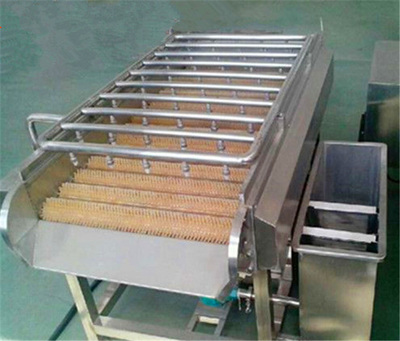 厂家直销 红枣清洗机 蔬菜清洗机 金针菇清洗机 价格合理_果蔬类清洗机_果蔬加工设备_食品专用机械_机械设备_供应_食品商务中心_食品伙伴网