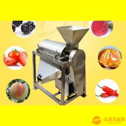 小型不锈钢榨汁机 水果榨汁机