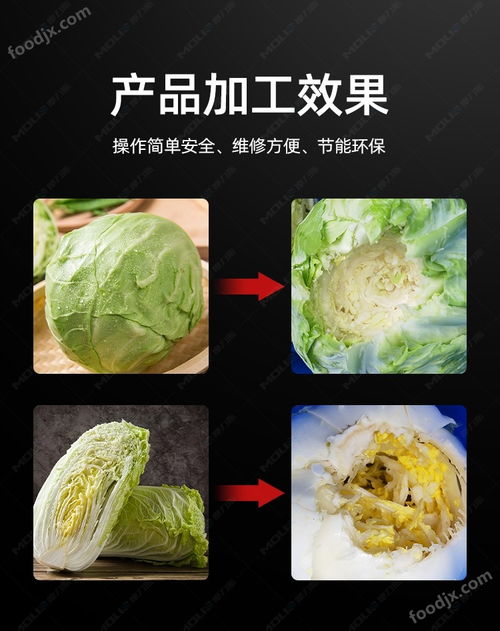 大白菜商用去芯机 净菜加工设备