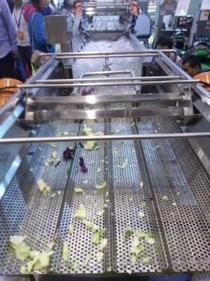 天翔直销土豆 山芋 山药等清洗去皮机 质量优 效果好