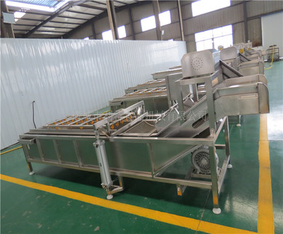 水果气泡清洗机哪家好-陕西气泡清洗机哪家好-诸城利特机械公司