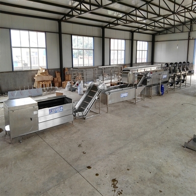 食品机械行业本网原创资讯栏目