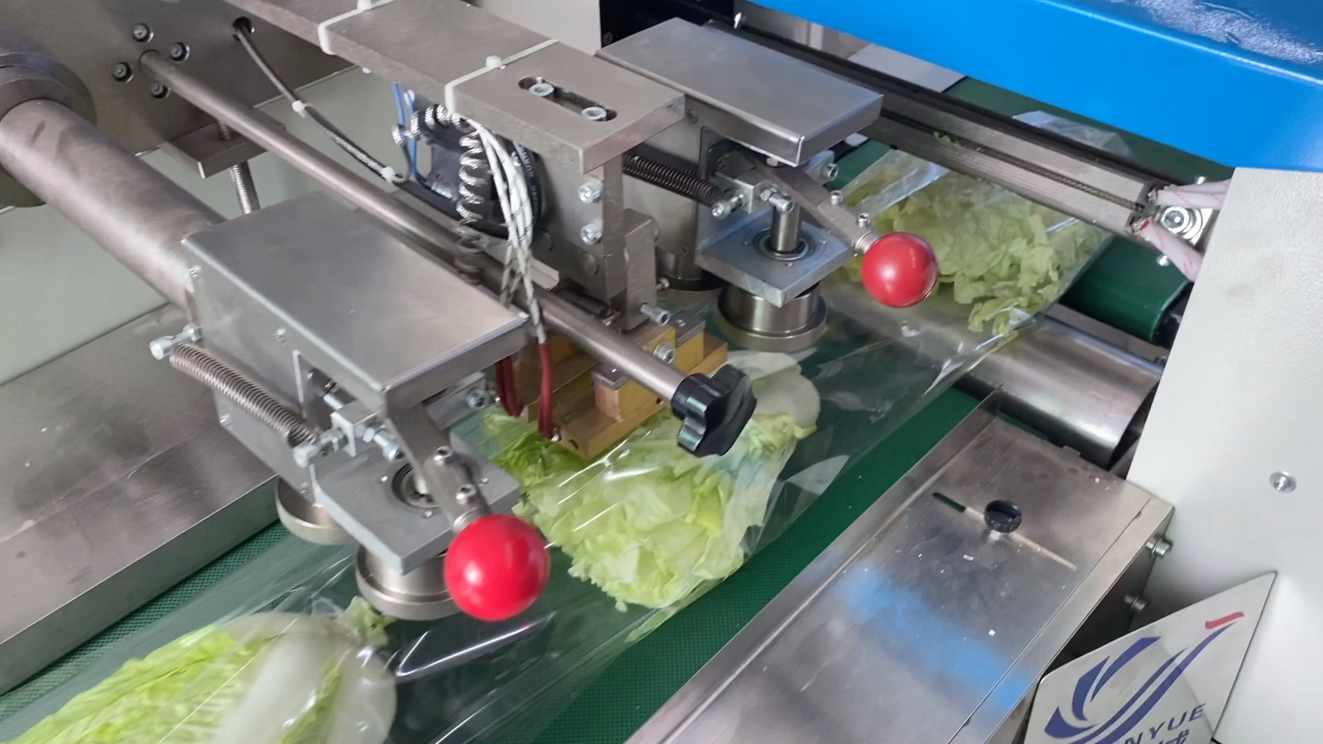 蔬菜包装机,果蔬打包机