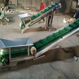 白色食品带输送机不锈钢防腐 食品包装输送机