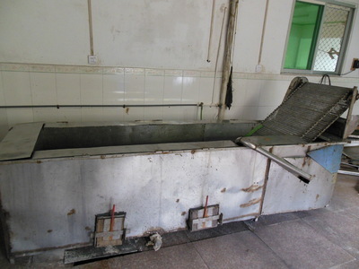 【专业生产全自动橄榄菜洗菜机】价格,厂家,图片,其他果蔬加工机械,揭东县兴建食品厂-