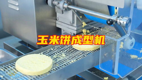 玉米饼成型机多功能肉饼蔬菜饼加工设备