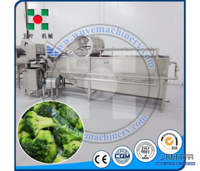 【五叶机械速冻西兰花生产线甘蓝菜加工机械蔬菜前处理菠菜芦笋清洗线ydsTX
