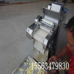 叶茎类蔬菜切菜机 切水果片机器 小型全自动切菜机