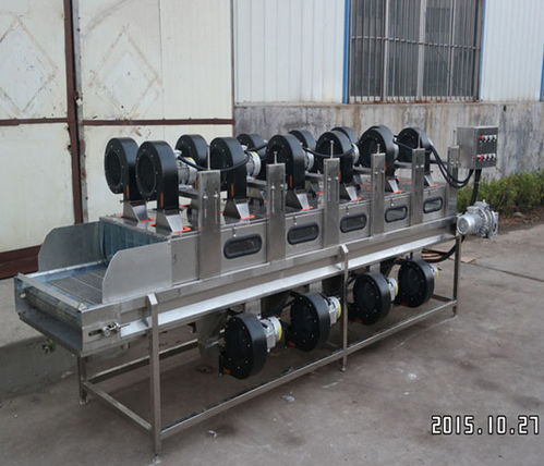 嘉信工业 吉林西蓝花清洗风干加工设备