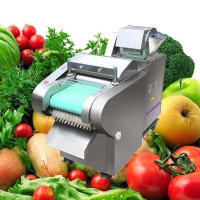 香菇萝卜切片切丝机 江西包子铺芹菜切段机 启航切段机参数图片_高清图_细节图