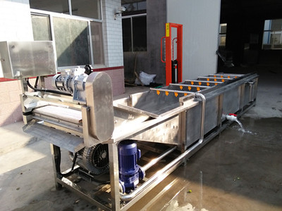 超声波蔬菜清洗机 提升食品加工效率与安全保障