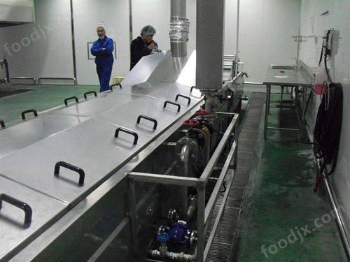 蔬菜漂烫机 净菜加工设备的现代化利器