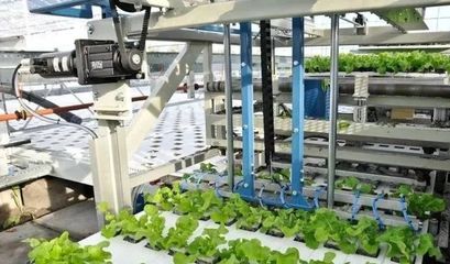 蔬菜无人种植工厂 农业自动化的革命与挑战