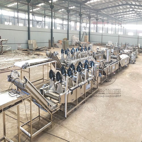 河北净菜进京项目 净菜全套加工设备与蔬菜加工机械的全面解析