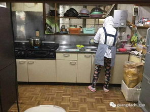 年入600万的高薪产业 蔬菜加工机械与多元化经营之道