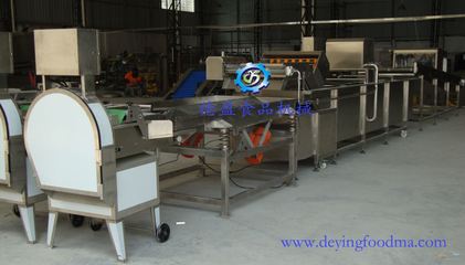 DY-Z1-供应德盈DY-Z1厂家定做蔬菜加工设备 _供应信息_商机_中国食品机械设备网